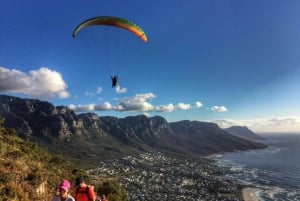 Cape Town: Guidet vandretur til Lion's Head ved solnedgang