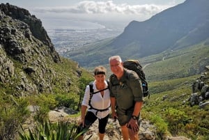 Cape Town: 3-Hour Table Mountain Hike via Platteklip Gorge