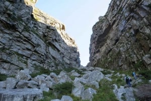 Kapstaden: 3-timmars vandring på Taffelberget via Platteklip Gorge