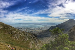 Città del Capo: escursione di 3 ore alla Table Mountain attraverso la gola di Platteklip