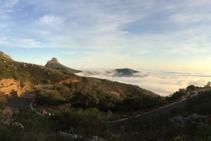 Le Cap : randonnée de 3 heures sur la montagne de la Table via les gorges de Platteklip