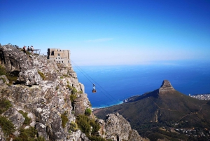 Città del Capo: escursione di 3 ore alla Table Mountain attraverso la gola di Platteklip