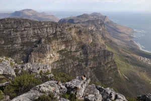 ケープタウン：プラッテクリップ渓谷経由の 3 時間テーブルマウンテンハイキング