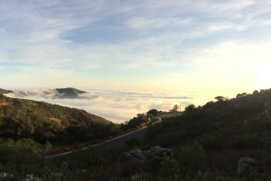 ケープタウン：プラッテクリップ渓谷経由の 3 時間テーブルマウンテンハイキング