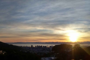 ケープタウン：プラッテクリップ渓谷経由の 3 時間テーブルマウンテンハイキング