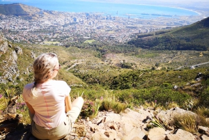 ケープタウン：プラッテクリップ渓谷経由の 3 時間テーブルマウンテンハイキング