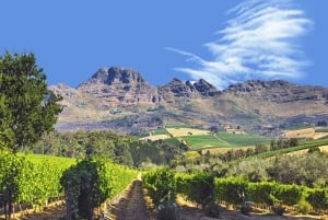 Tournée des vins du Cap (Paarl, Stellenbosch et Franschhoek)