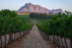 Cape Town: 3 Regions Private Cape Winelands Tour