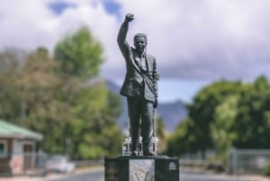 Cape Town Wine Tour (Paarl, Stellenbosch & Franschhoek)