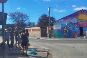 Cape Town: 3 til 4-timers Township-tur