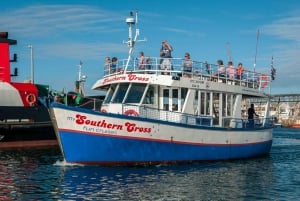 Le Cap : Croisière de 30 minutes en bateau dans le port avec observation des phoques