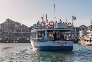 Cape Town: 30-minutters båttur i havnen med selsafari