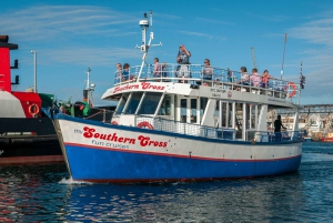 Cape Town: 30 Minute Harbour Boat Cruise with Seal Watching