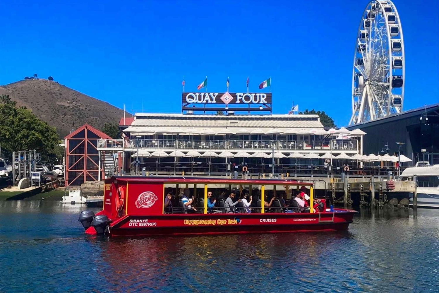 Kapstadt: 30 Minuten Hafenrundfahrt zur Robbenbeobachtung