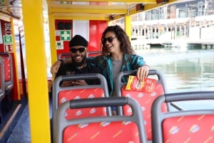 Cape Town: 30 Minute Seal-Watching Harbour Cruise