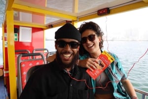 Cape Town: 30 Minute Seal-Watching Harbour Cruise