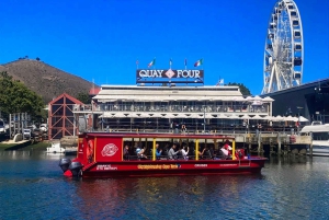 Kapstadt: 30 Minuten Hafenrundfahrt zur Robbenbeobachtung