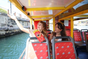 Kapstadt: 30 Minuten Hafenrundfahrt zur Robbenbeobachtung