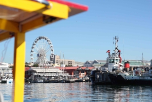 Kapstadt: 30 Minuten Hafenrundfahrt zur Robbenbeobachtung