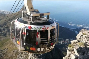 Best of Cape Town 4 Days Private Tour - with accommodation