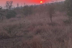 Kaapstad: 5-daagse Kruger Park & Eswatini Tour met vluchten