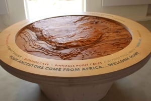 Cape Town: 5-Day West Coast Flower Tour