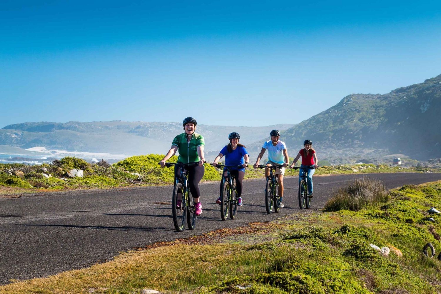 Cape Town: 9-hour Cape Point Private Guided Cycling Tour