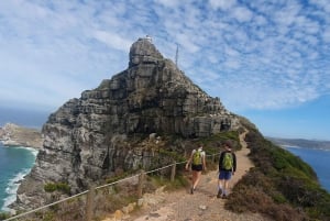 Cape Town: 9-hour Cape Point Private Guided Cycling Tour