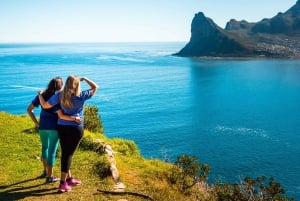 Cape Town: 9-timers privat guidet sykkeltur til Cape Point
