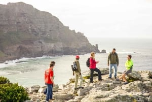 Cape Town: 9-timers privat guidet sykkeltur til Cape Point
