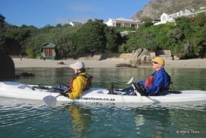 Cape Town: 9-timers privat guidet sykkeltur til Cape Point