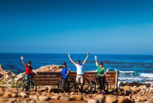 Cidade do Cabo: 9 horas de tour guiado privado de Cape Point em bicicleta