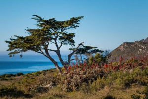 Cidade do Cabo: 9 horas de tour guiado privado de Cape Point em bicicleta