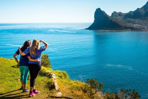 Cape Town: 9-hour Cape Point Private Guided Cycling Tour