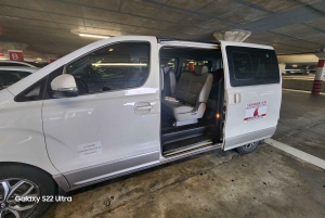 Kapkaupunki: Kuljetus lentoasemalta kaupungin hotelleihin ja takaisin