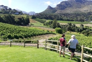 Flughafentransfers und Shuttles in Kapstadt