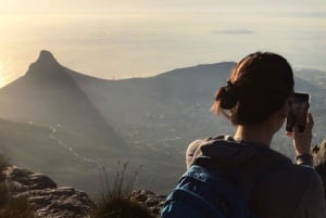 Flughafentransfers und Shuttles in Kapstadt