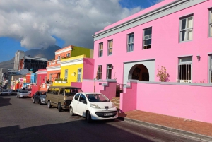 Kapstaden och Kaphalvön Privat 3 dagars tur