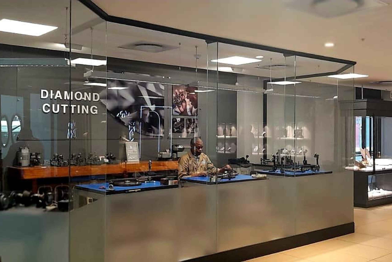 Cape Town: Dag med akvarium, andetur og botanisk have