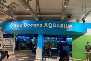 Città del Capo: giornata dedicata all'acquario, al tour delle anatre e al giardino botanico