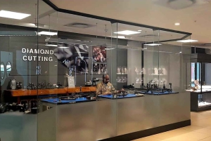 Città del Capo: giornata dedicata all'acquario, al tour delle anatre e al giardino botanico