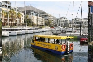 Città del Capo: giornata dedicata all'acquario, al tour delle anatre e al giardino botanico