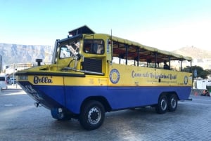 Città del Capo: giornata dedicata all'acquario, al tour delle anatre e al giardino botanico