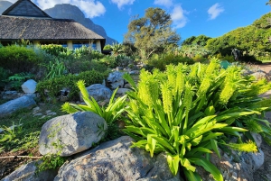 Città del Capo: giornata dedicata all'acquario, al tour delle anatre e al giardino botanico