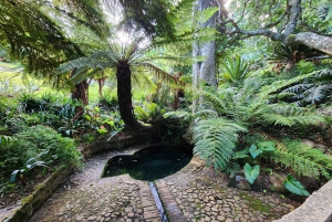 Città del Capo: giornata dedicata all'acquario, al tour delle anatre e al giardino botanico