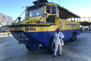 Cape Town: Dag med akvarium, andetur og botanisk have