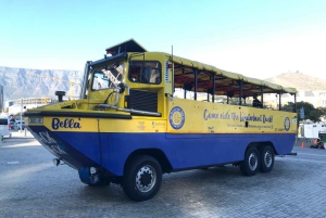 Cape Town: Dag med akvarium, andetur og botanisk have