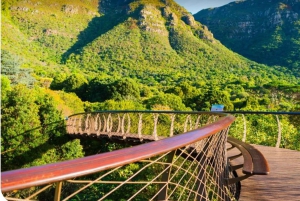 Cape Town: Dag med akvarium, andetur og botanisk have