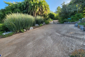 Cape Town: Dag med akvarium, andetur og botanisk have