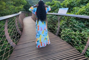 Cape Town: Dag med akvarium, andetur og botanisk have